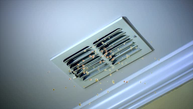  Bayou La Batre, AL Airduct Cleaning Pros