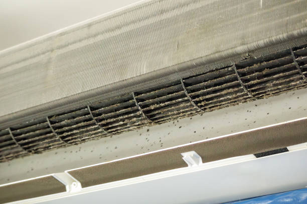 Best Air Quality Test  in Bayou La Batre, AL
