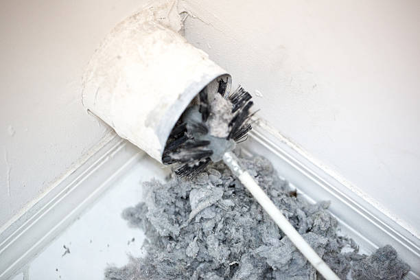 Best Best Air Duct Cleaning Company  in Bayou La Batre, AL